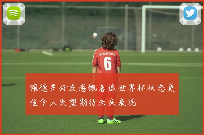 佩德罗好友感慨落选世界杯状态更佳令人失望期待未来表现