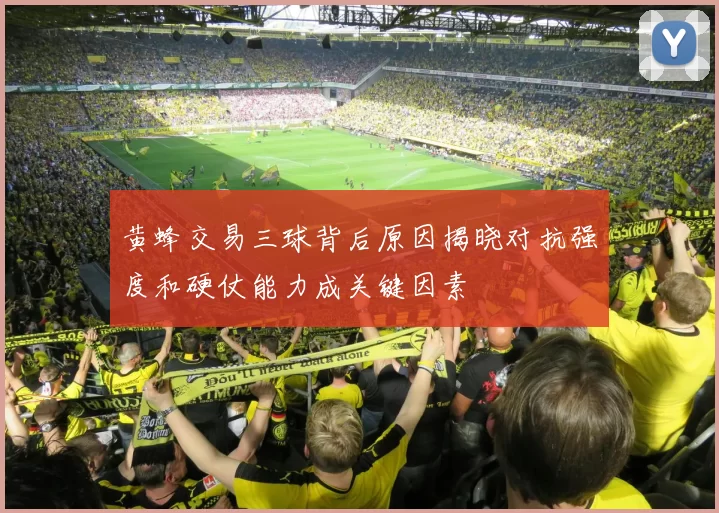 黄蜂交易三球背后原因揭晓对抗强度和硬仗能力成关键因素