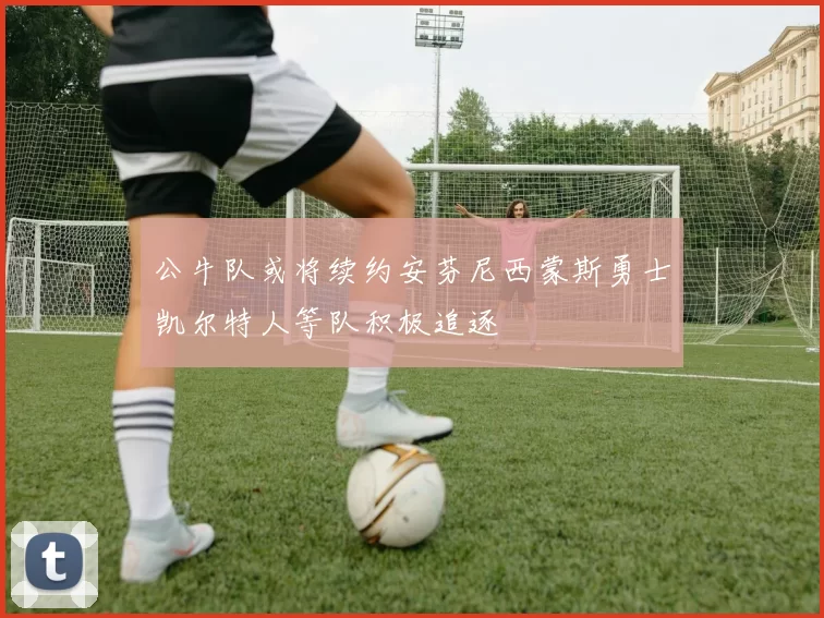 公牛队或将续约安芬尼西蒙斯勇士凯尔特人等队积极追逐